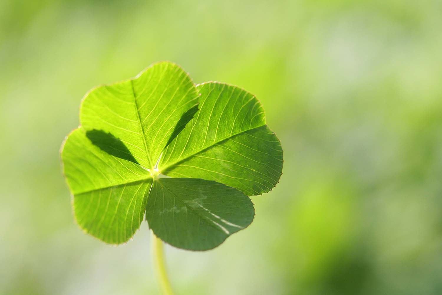 Is it wrong to wish someone good luck?