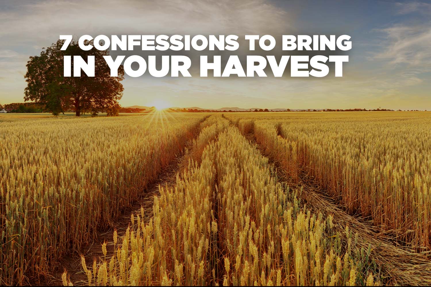 7 Confessions to Bring in Your Harvest