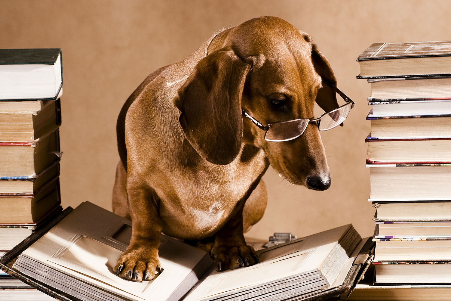 What materials would help my personal Bible study?