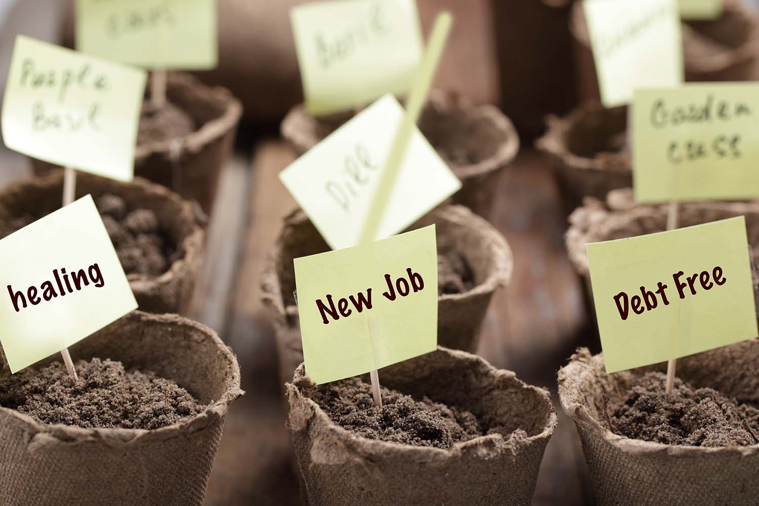 What is “naming your seed”?