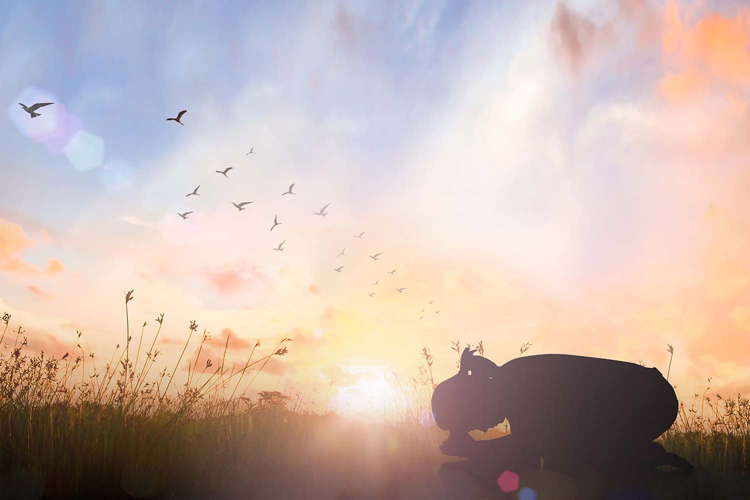 If God is love, why are we told to fear Him?