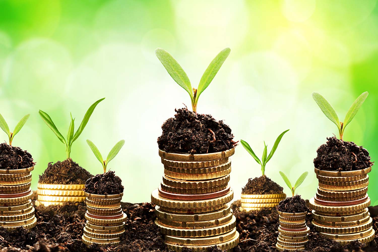 Should a church or ministry tithe?