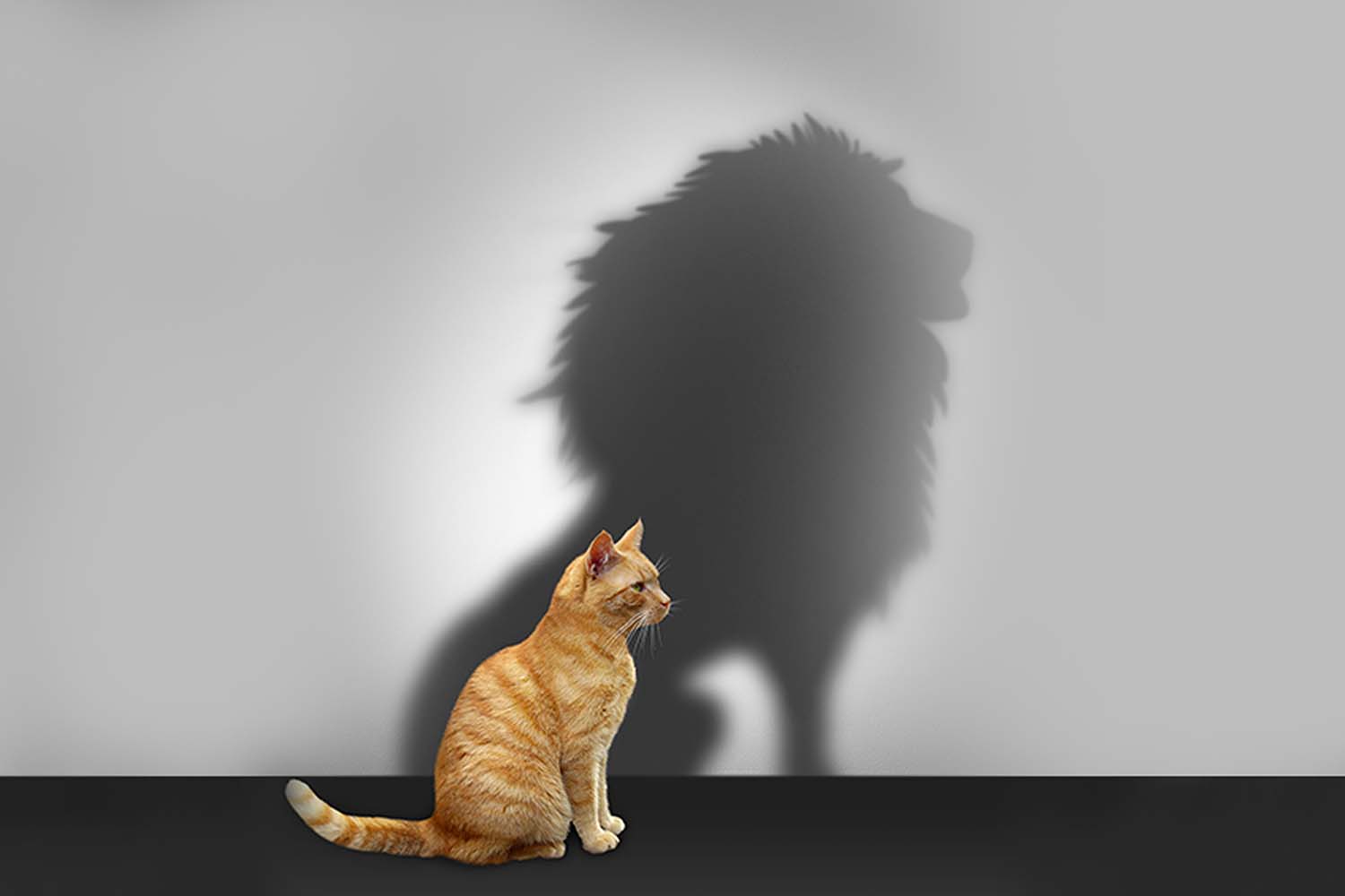 How can faith change my life?