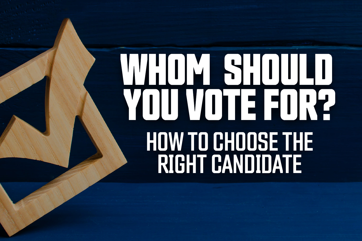Whom Should You Vote For?