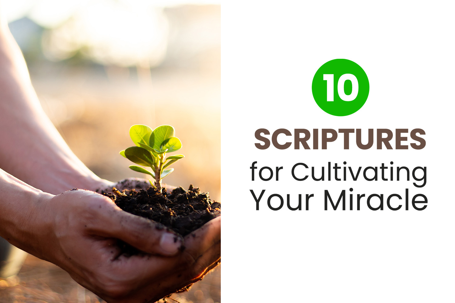10 Scriptures for Cultivating Your Miracle