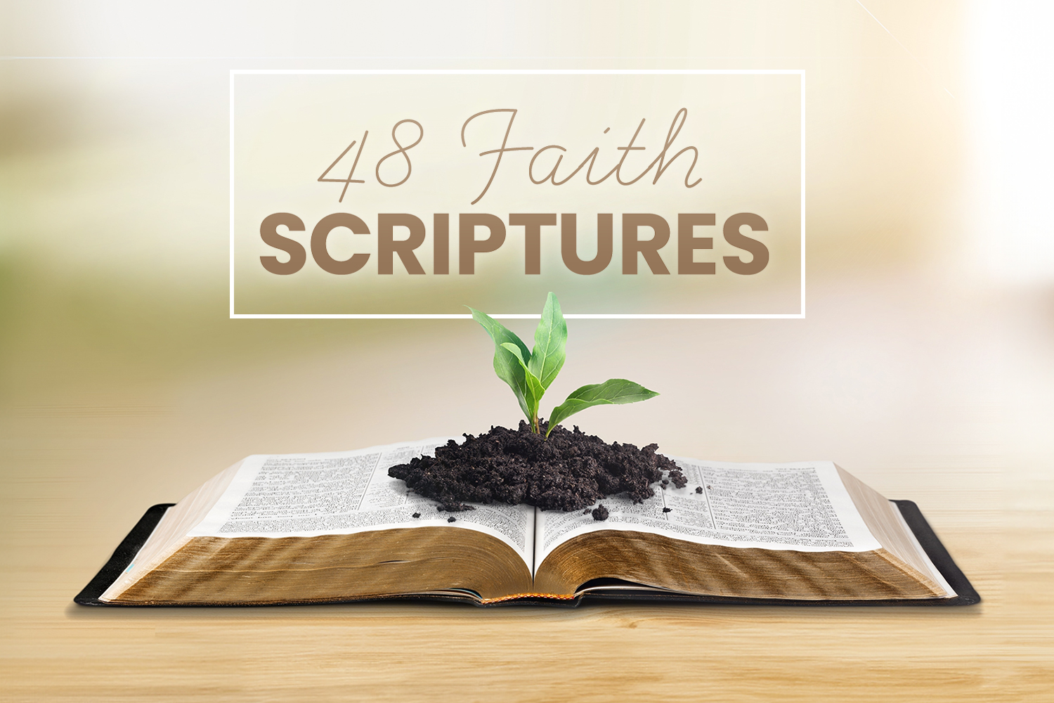 48 Faith Scriptures Real Help