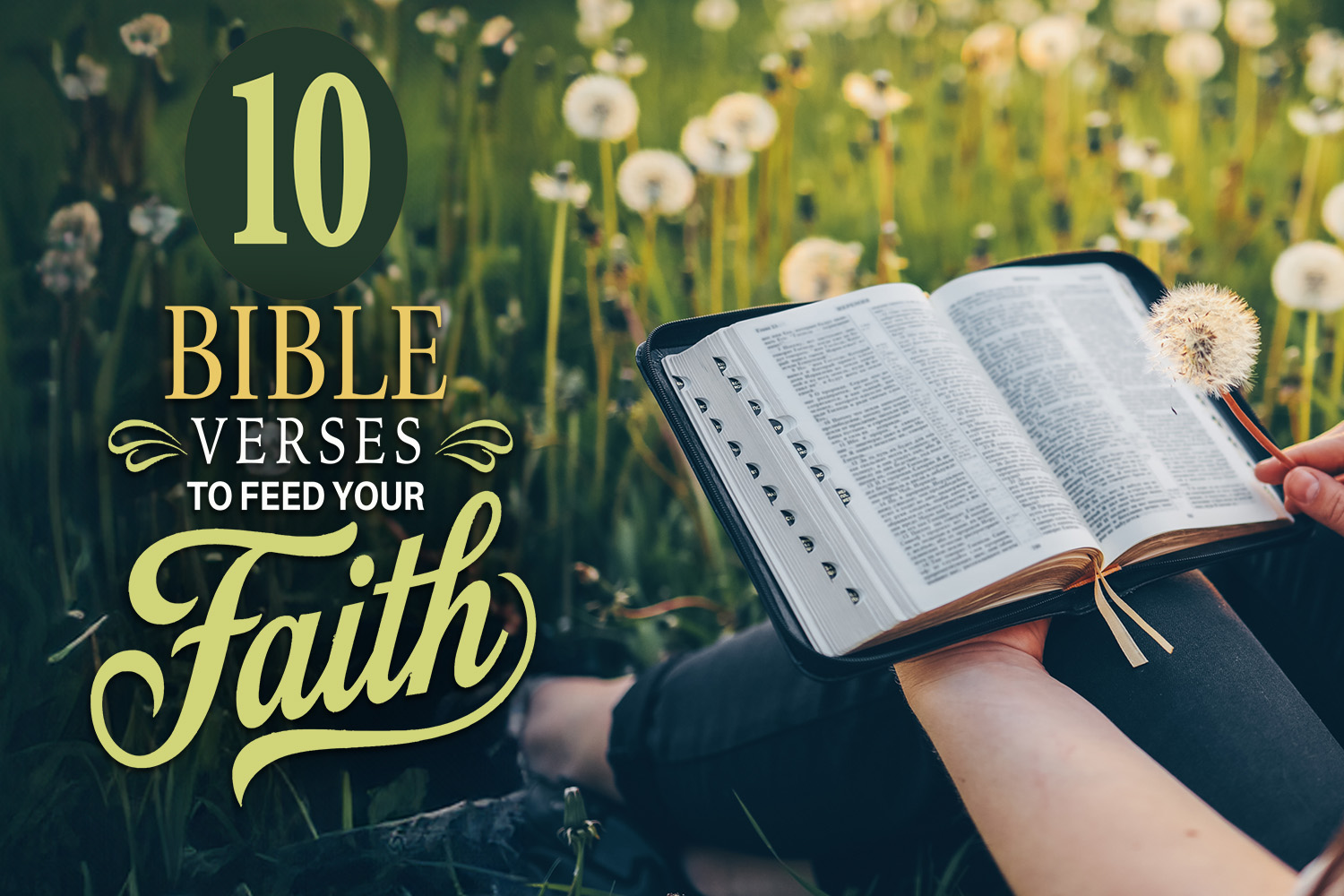 10 Bible Verses To Feed Your Faith