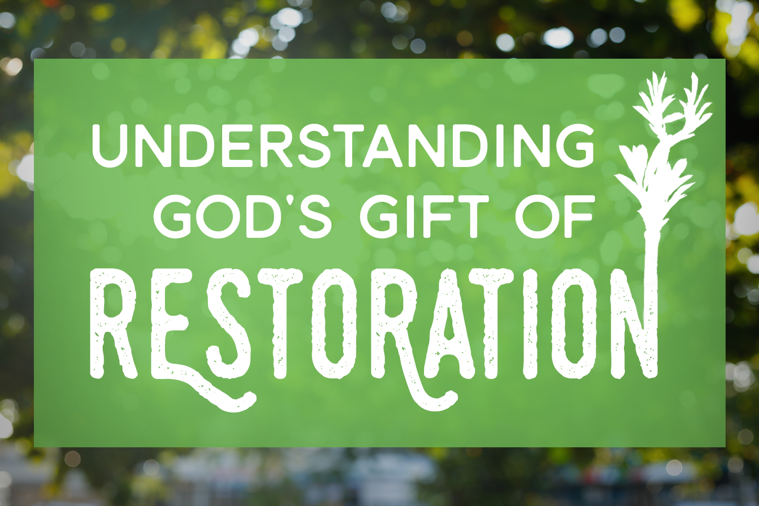 understanding-gods-gift-of-restoration-ba.jpg