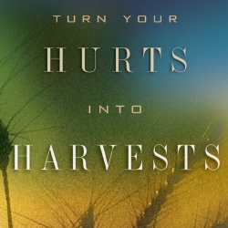 turnyourhurtsintoharvests.jpg