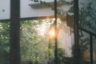 Sunlight shining through green trees outside a window, creating a peaceful, natural view that reflects a calm setting for faith habits in the new year.